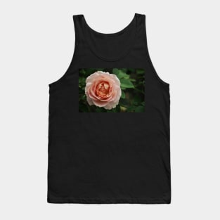 Delicate Pink Rose Tank Top